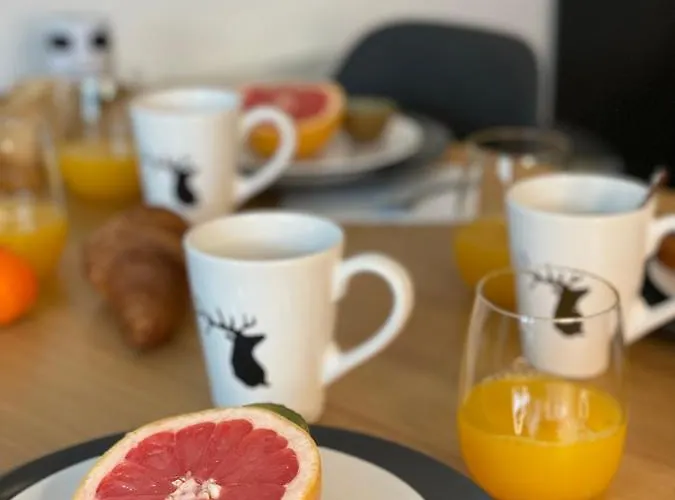 Centre Station Les 2 Alpes, Parking, Wifi Appartement Les Deux Alpes