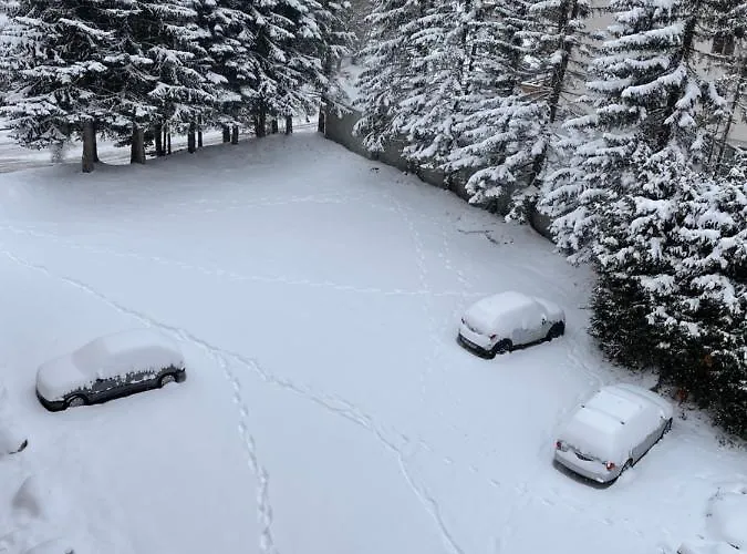 Centre Station Les 2 Alpes, Parking, Wifi Appartement